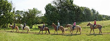 IMG_0235_2011_©_flintfoto.dk Panorama